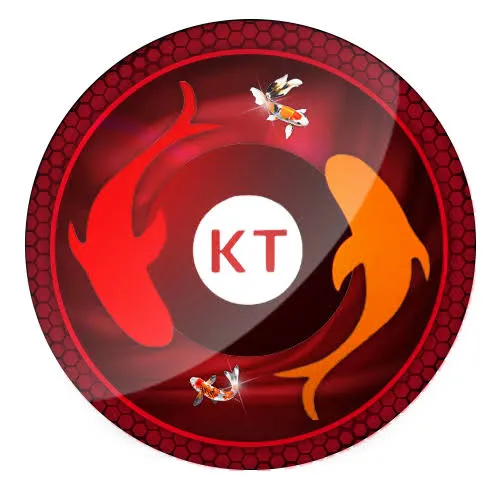 KOITOTO - Analisis WiFi Terbaik untuk HP Anda